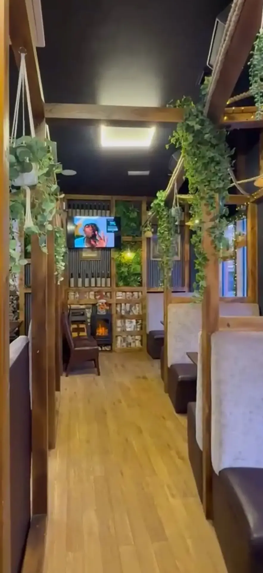 Cosy interior with hanging plants